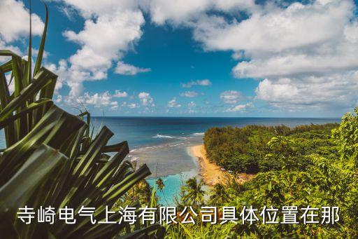 上海市靜安區昌平路68號217室，寺崎電氣上海有限公司具體位置在那