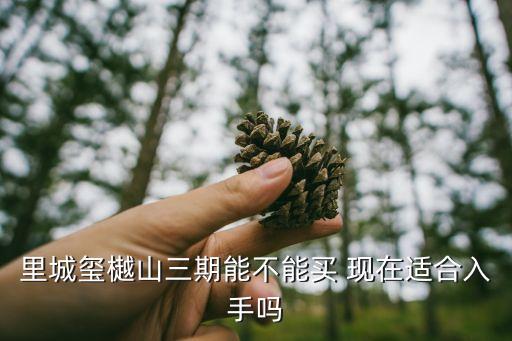 里城璽樾山三期能不能買 現在適合入手嗎