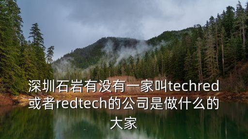 深圳石巖有沒有一家叫techred或者redtech的公司是做什么的大家
