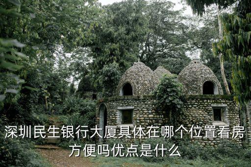 深圳民生銀行大廈具體在哪個位置看房方便嗎優點是什么