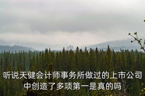 聽說天健會計師事務所做過的上市公司中創造了多項第一是真的嗎