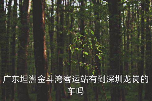廣東坦洲金斗灣客運(yùn)站有到深圳龍崗的車嗎