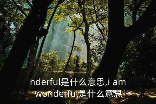 nderful是什么意思,i am wonderful是什么意思