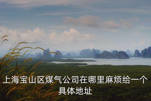 上海寶山區煤氣公司在哪里麻煩給一個具體地址