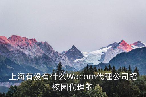 上海市極途信息技術有限公司，上海途零信息科技有限公司怎么樣