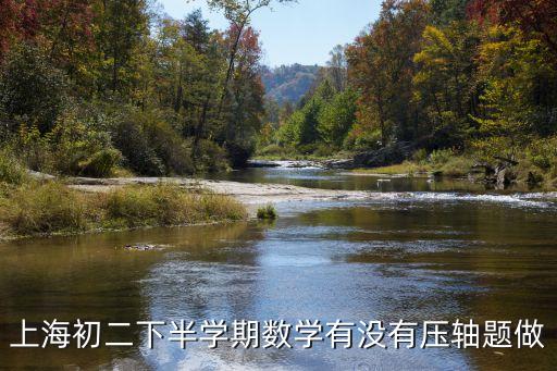 上海初二下半學(xué)期數(shù)學(xué)有沒(méi)有壓軸題做