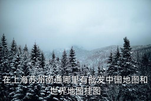 在上海蘇州南通哪里有批發中國地圖和世界地圖掛圖
