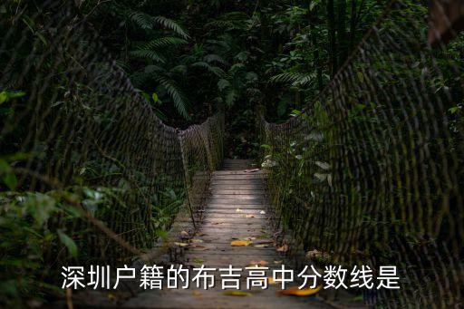 深圳市布心中學分數(shù)線，深圳戶籍的布吉高中分數(shù)線是
