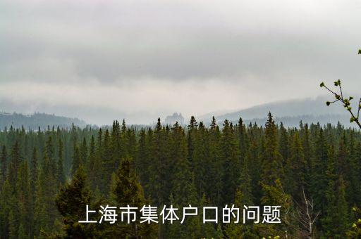 上海市學校集體戶口戶號，集體戶口本的戶號