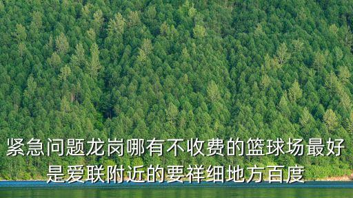 緊急問題龍崗哪有不收費的籃球場最好是愛聯附近的要祥細地方百度