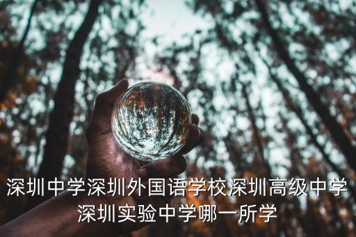 深圳中學深圳外國語學校深圳高級中學深圳實驗中學哪一所學
