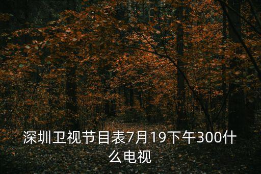 深圳衛視節目表7月19下午300什么電視
