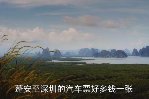 蓬安至深圳的汽車票好多錢一張