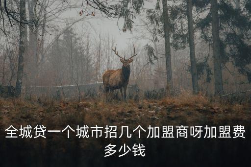 全城貸一個城市招幾個加盟商呀加盟費多少錢