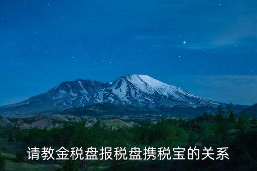 請教金稅盤報稅盤攜稅寶的關系