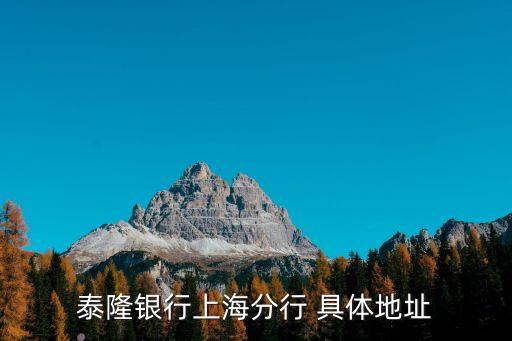 泰隆銀行上海分行 具體地址