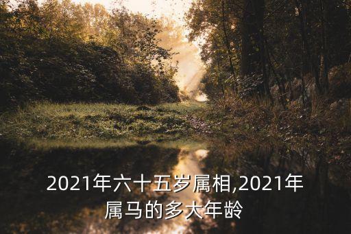 屬馬多大,今年屬馬的人有多大?一起來看看!