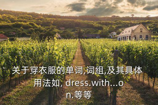 關于穿衣服的單詞,詞組,及其具體 用法如, dress.with…on.等等