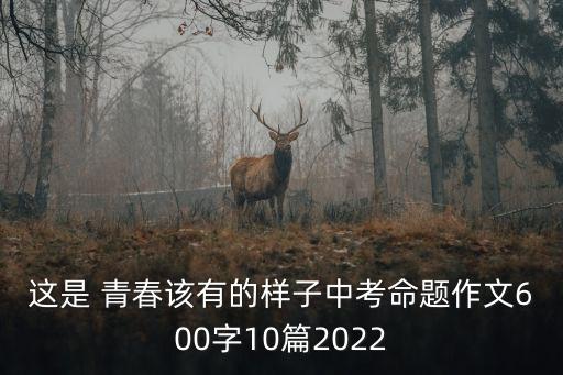 這才是青春,青春該有的樣子作文