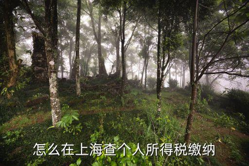 上海市稅網，上海財稅網