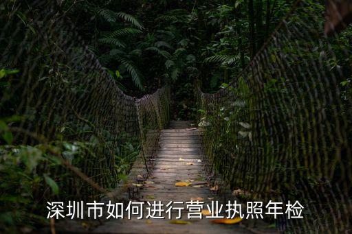 深圳龍崗區(qū)個(gè)體營(yíng)業(yè)執(zhí)照年檢和記賬報(bào)稅，深圳市如何進(jìn)行營(yíng)業(yè)執(zhí)照年檢