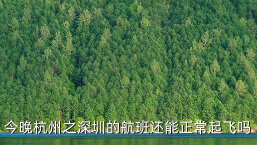 今深圳能正常起飛嗎，今天深圳寶安機場寸雨天飛機是否照常起飛