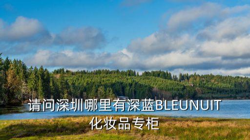 請問深圳哪里有深藍BLEUNUIT化妝品專柜