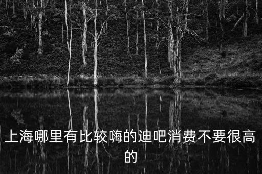 上海市酒吧迪吧，上海哪里有比較嗨的迪吧消費不要很高的