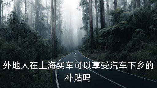 外地人在上海買車可以享受汽車下鄉的補貼嗎