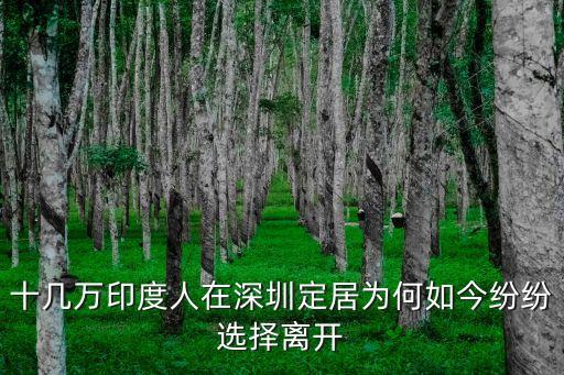十幾萬印度人在深圳定居為何如今紛紛選擇離開