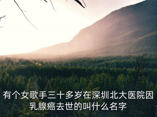 李樹春北大深圳，在市人民醫院造影查出輸卵管堵塞想去深圳北大做宮腹腔鏡手術