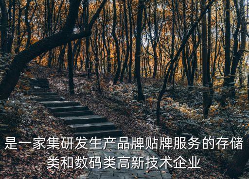 是一家集研發生產品牌貼牌服務的存儲類和數碼類高新技術企業