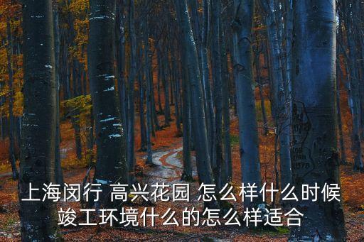 上海市閔行區(qū)買高興花園上閔行實(shí)驗(yàn)，上海高興花園附近打球的地方