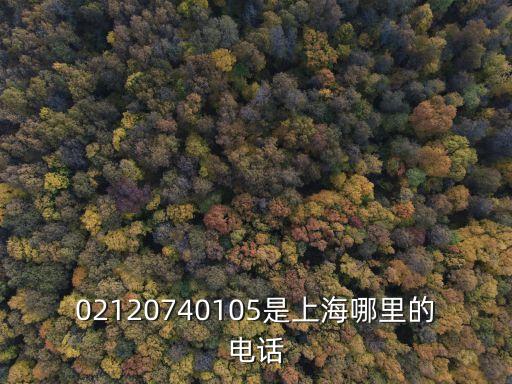 上海市婚姻調解中心電話號碼，上海有幫忙熱線嗎電話或網址是多少