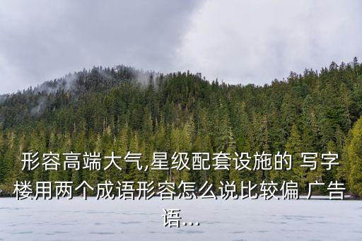 形容高端大氣,星級配套設施的 寫字樓用兩個成語形容怎么說比較偏 廣告語...