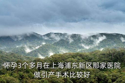 懷孕3個(gè)多月在上海浦東新區(qū)那家醫(yī)院做引產(chǎn)手術(shù)比較好