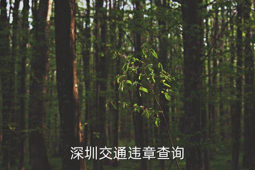 深圳交通違章查詢