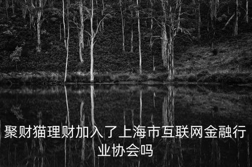 上海市互聯(lián)五金融行業(yè)協(xié)會，互聯(lián)網(wǎng)金融協(xié)會名單有無宜信