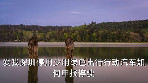 綠色出行深圳交警，在深圳選擇登記了綠色出行但是當(dāng)天又出車了怎么處理