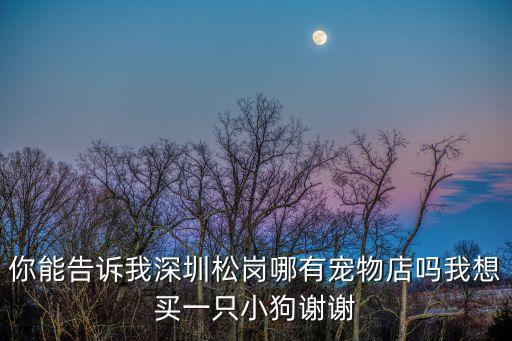 你能告訴我深圳松崗哪有寵物店嗎我想買一只小狗謝謝