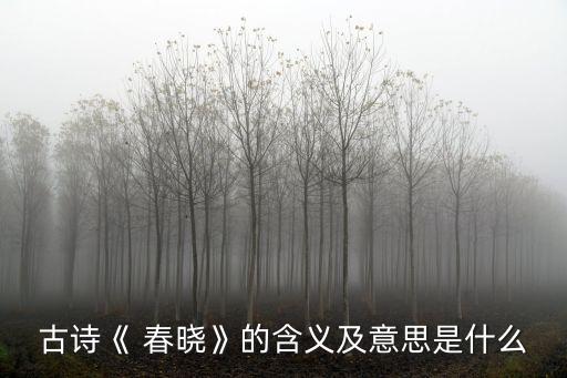 春曉是什么意思,孟浩然的春曉是什么意思