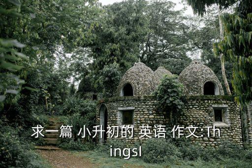 小升初英語作文,小升初中入學測試作文a文件有問題!