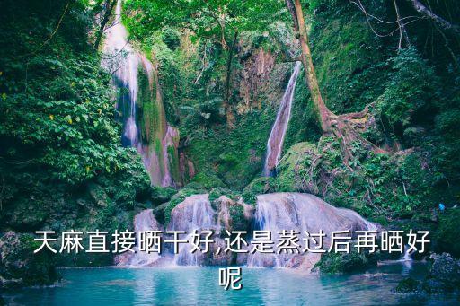 天麻直接曬干好,還是蒸過后再曬好呢