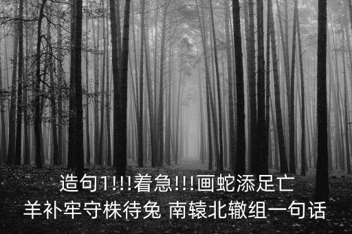  造句1!!!著急!!!畫蛇添足亡羊補(bǔ)牢守株待兔 南轅北轍組一句話