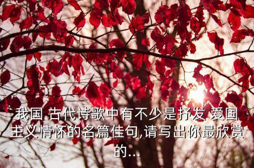 我國 古代詩歌中有不少是抒發(fā) 愛國主義情懷的名篇佳句,請寫出你最欣賞的...