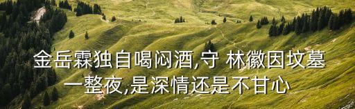  金岳霖獨自喝悶酒,守 林徽因墳墓一整夜,是深情還是不甘心