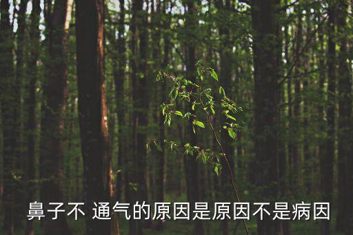  鼻子不 通氣的原因是原因不是病因