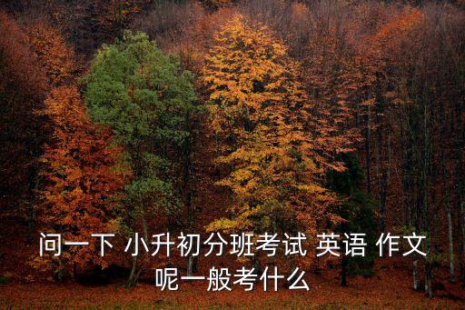 問一下 小升初分班考試 英語 作文呢一般考什么