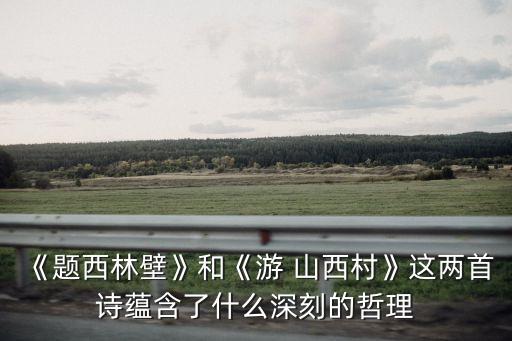 《題西林壁》和《游 山西村》這兩首詩蘊含了什么深刻的哲理