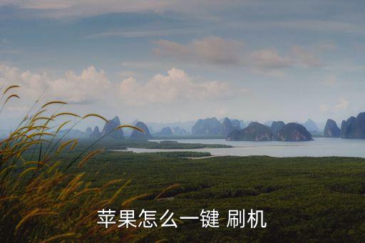 蘋果怎么一鍵 刷機(jī)